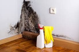 Best Mold Removal for HVAC Installations  in Immokalee, FL